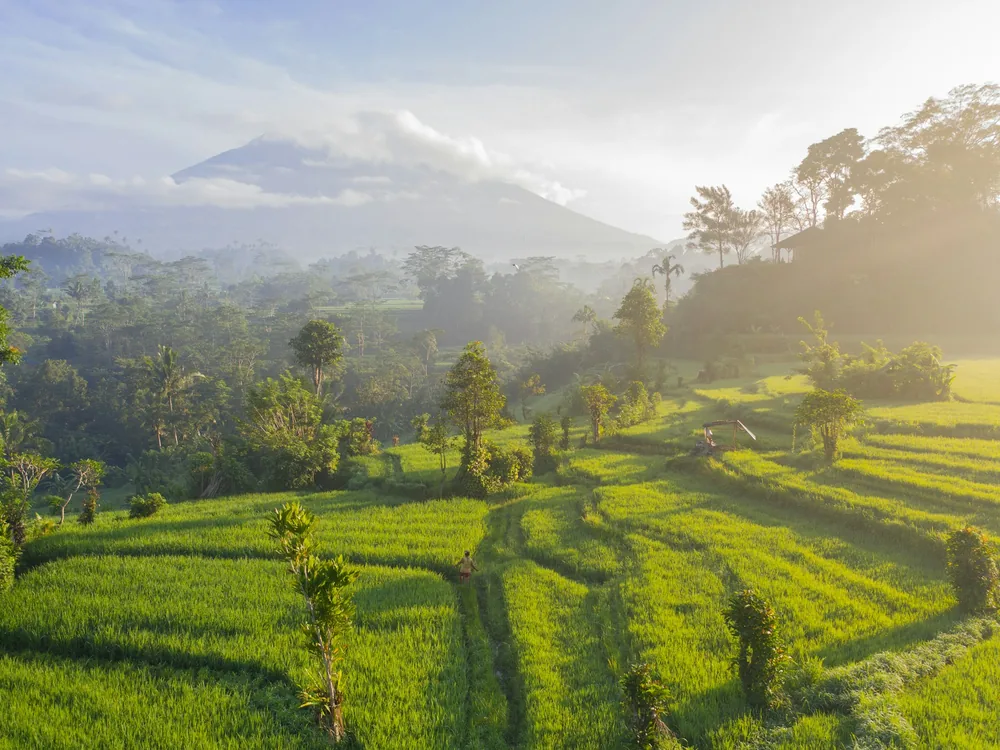Rice terraces below a volcano in Bali at dawn