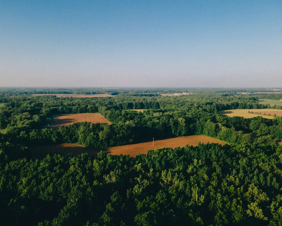 Aerial view of forest cover around cleared, ploughed fields