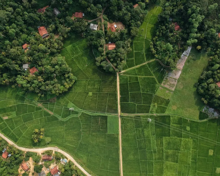 Aerial view of small farm plots and tree cover