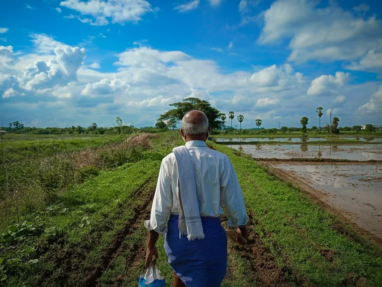 Farmer walking along a path between field plots