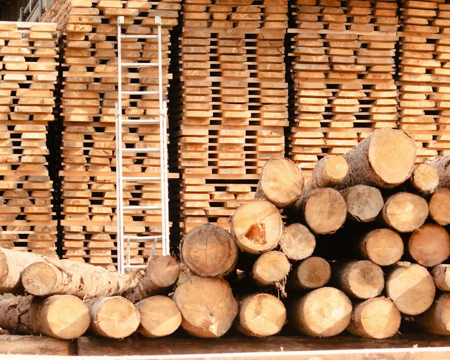 Logs piled in front of stacked sawn timber in a lumber yard