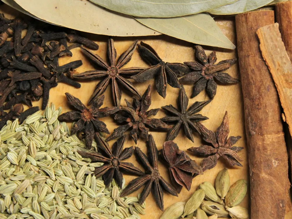 Star anise, cloves, cinnamon and fennel seeds