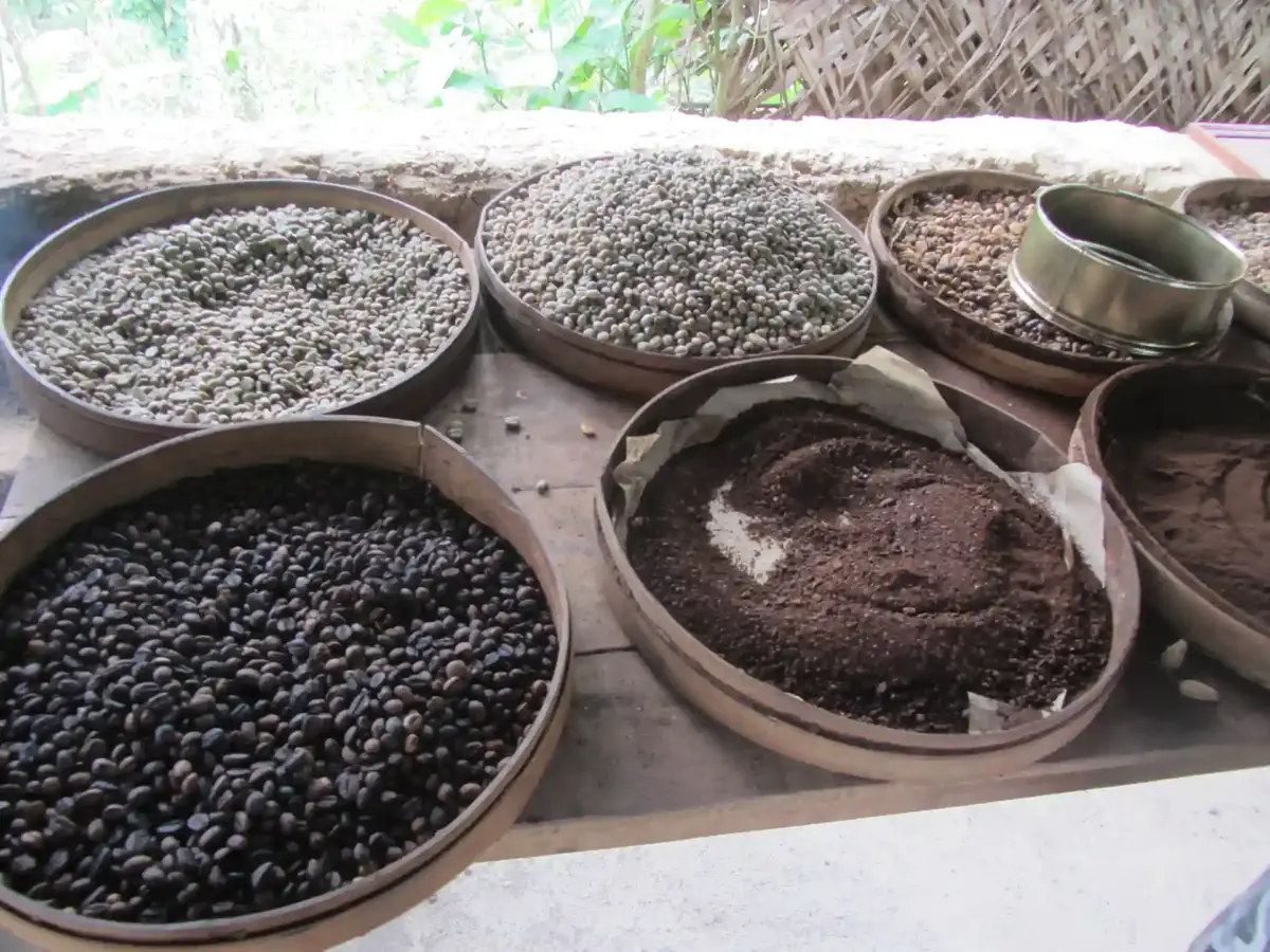 EUDR Compliance for Indonesian Coffee and Cocoa Exports
