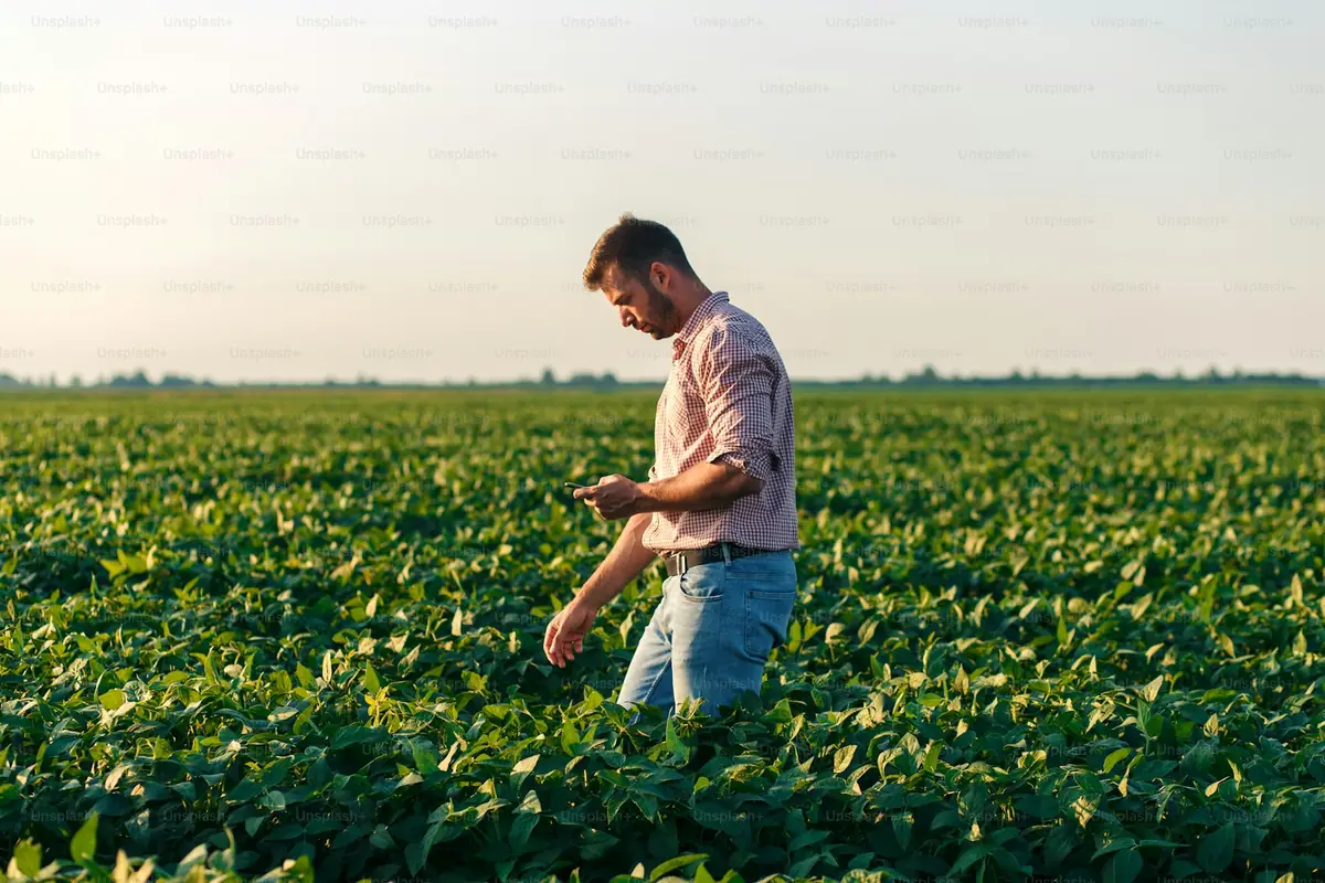EUDR Traceability Support: How Bali Consultants Build It
