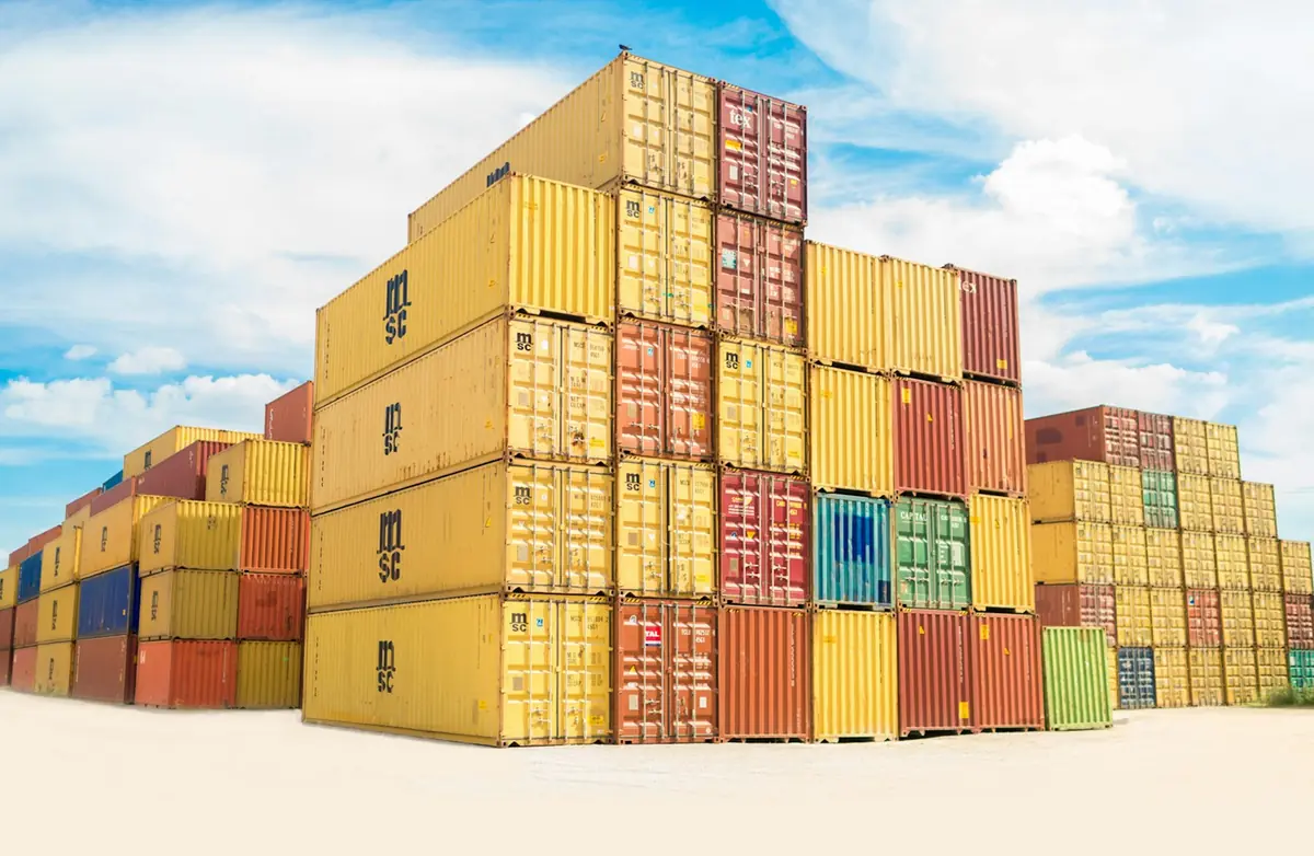 EUDR HS Codes, DDS and Customs: What Your Importer Needs