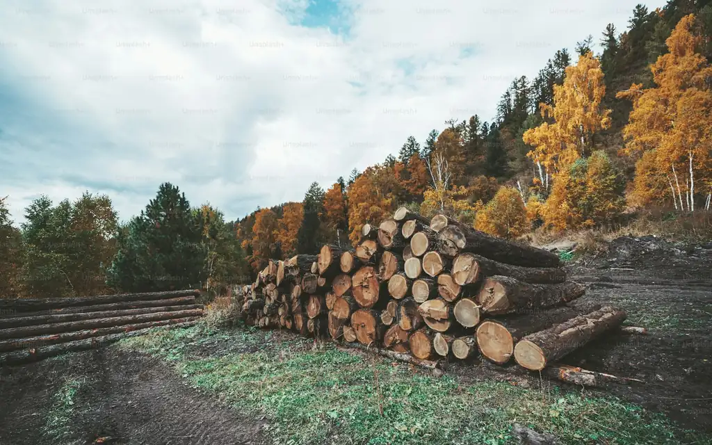 Integrating SVLK with EUDR for Indonesian Wood Exporters