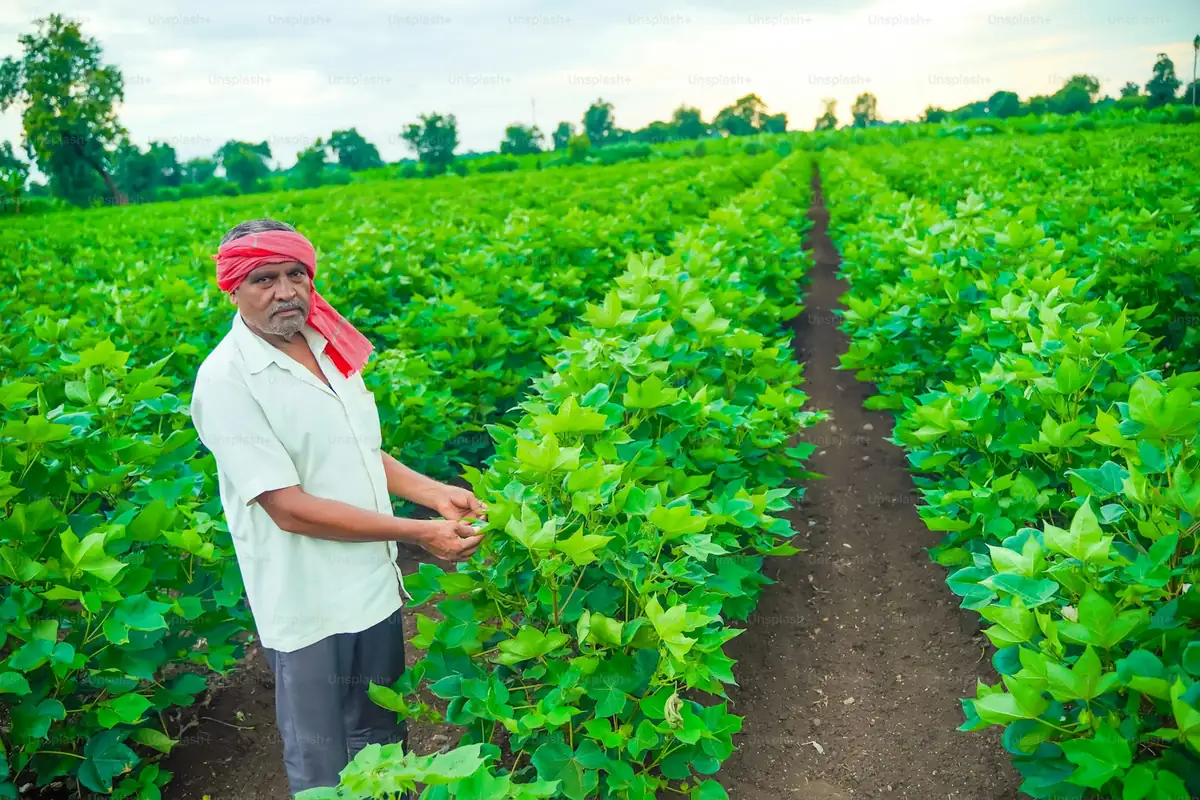 Inclusive EUDR Compliance Models for Smallholders